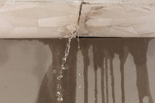 Professional Flood Damage Cleanup technician working in Rhoadesville, VA
